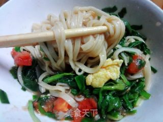 自制面条的做法步骤：8