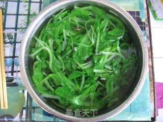 水饺的做法步骤：3