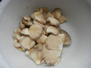 平菇白菜鱼头汤的做法步骤：3