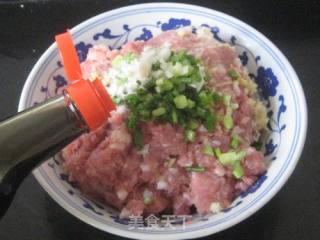 萝卜丝肉馅馒头的做法步骤：2