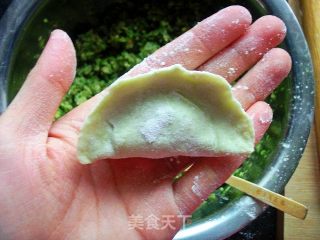 翡翠烫面蒸饺的做法步骤：9