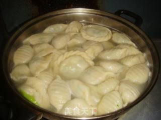 韭菜水饺的做法步骤：13