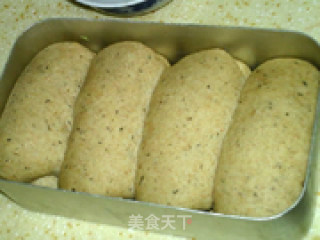 绝对粗口感——全麦面包的做法步骤：7