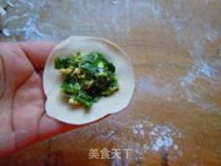 适合新手的韭菜鸡蛋素水饺的做法步骤：20