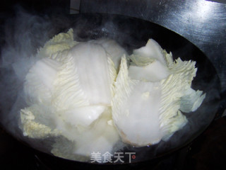 芥末鸡丝渍白菜的做法步骤：6