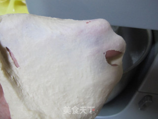 厨师机版全麦黑芝麻吐司的做法步骤：5