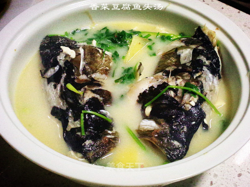 奶白色----香菜鱼头豆腐汤的做法