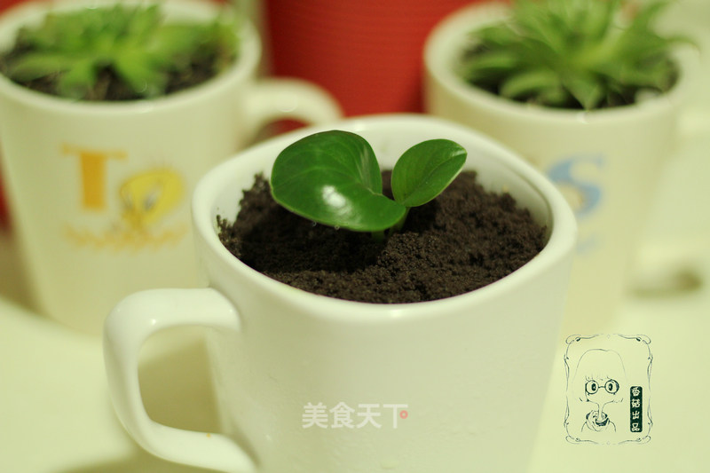 盆栽甜品的做法