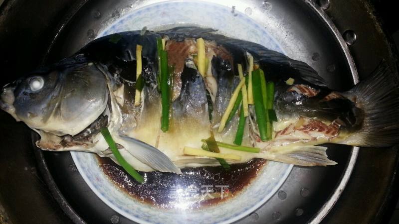 粤菜清蒸鱼(方法绝对正宗，成品咬牙献丑，给大家做反面教材)的做法