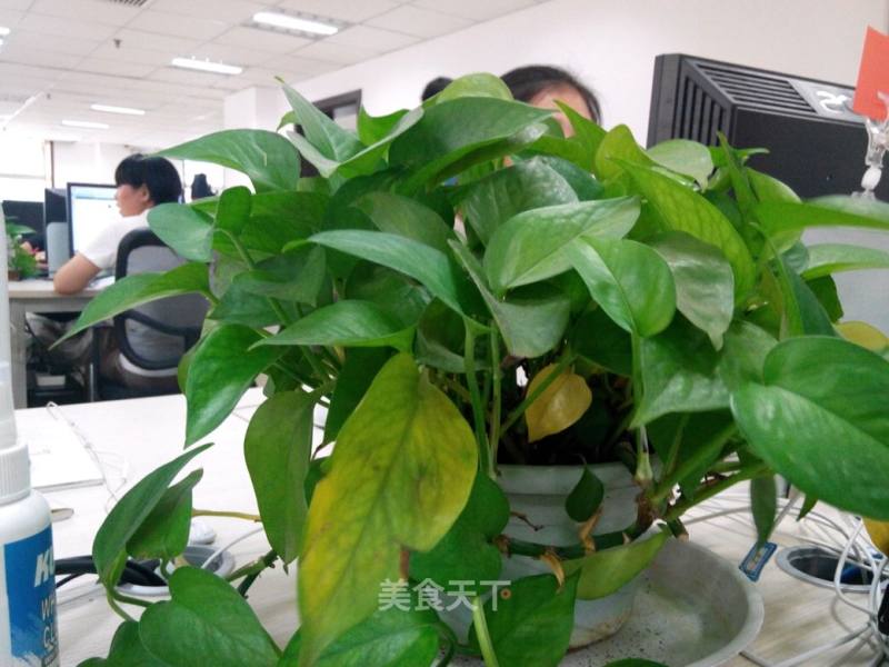 胡椒咖喱汤一号的做法