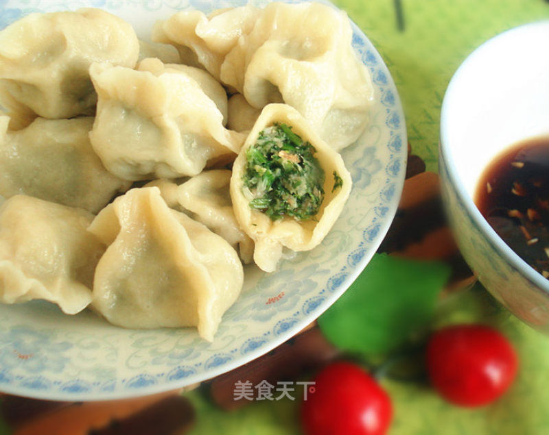 茴香猪肉饺子的做法
