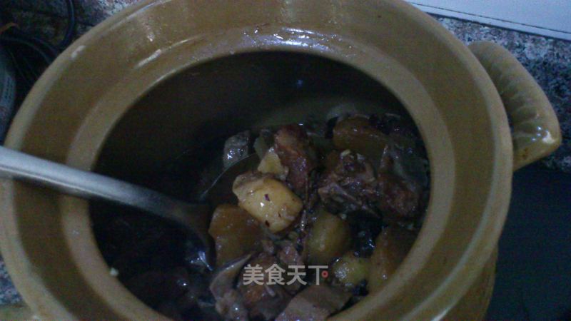 滋补羊腩煲的做法