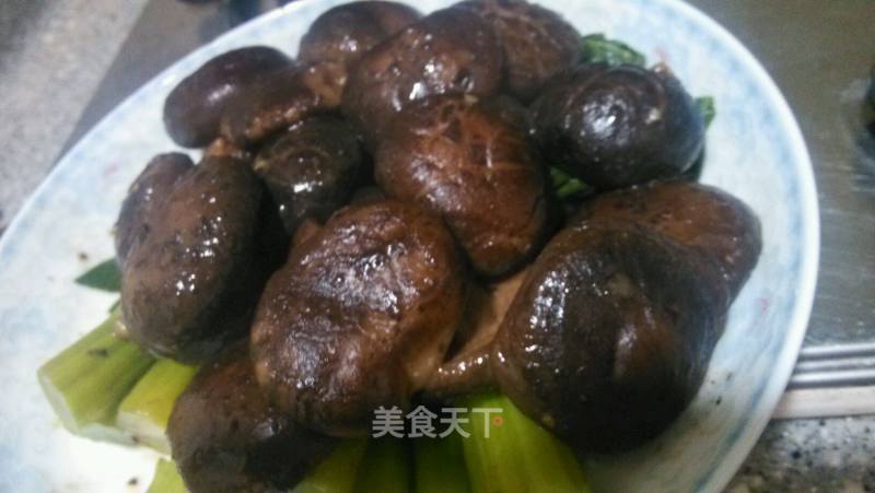 鲍汁香菇伴菜心的做法