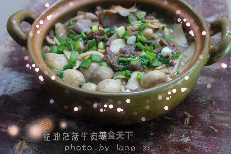 蚝油杂菇牛肉煲的做法