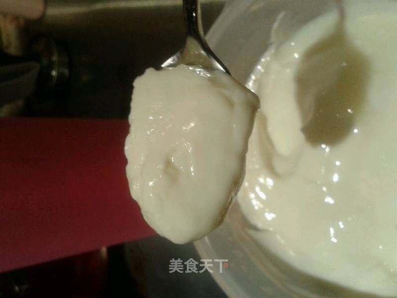 酸奶的做法