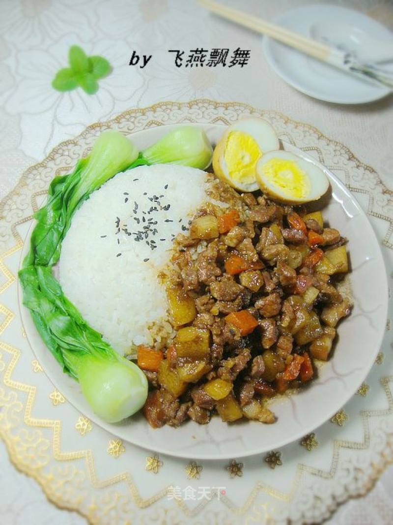 炖锅卤肉、满屋飘香---------【家常卤肉饭】的做法