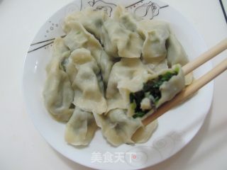 口味清淡的油菜虾仁水饺的做法步骤：12
