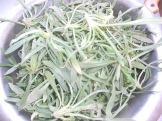 春天的味道——野菜鲜肉馄饨的做法步骤：1