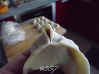 驴肉水饺的做法步骤：12