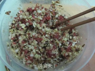 牛肉白菜包的做法步骤：10
