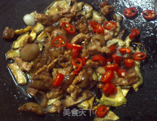 仔南瓜干炒肉的做法步骤：7