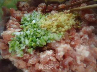 白菜猪肉包子的做法步骤：6
