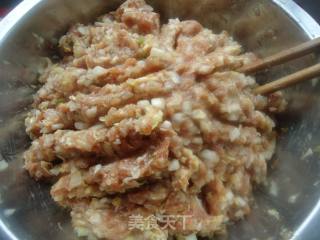白菜猪肉包子的做法步骤：10