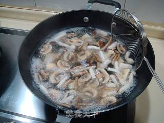 素烧杂菇嫩豆腐的做法步骤：1