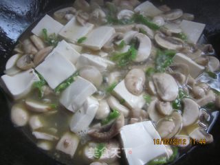 口蘑烩豆腐的做法步骤：5
