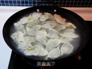 韭菜猪肉虾仁水饺的做法步骤：14