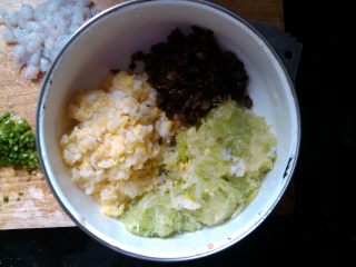 大白菜西葫芦水饺的做法步骤：3