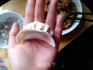 大白菜西葫芦水饺的做法步骤：6