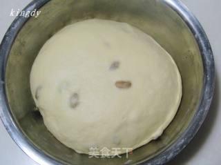 葡萄干果酱小餐包的做法步骤：12