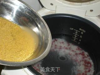红豆小米粥的做法步骤：8
