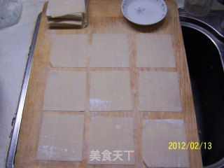 懒人做饭之--简易素春卷的做法步骤：8