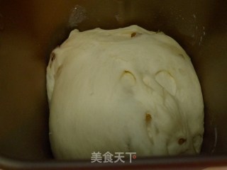 奶酪葡萄干土司的做法步骤：7