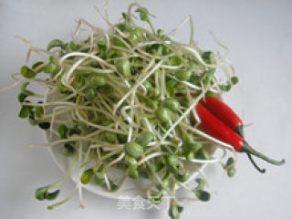 新手AB小炒—红椒炒绿芽的做法步骤：1