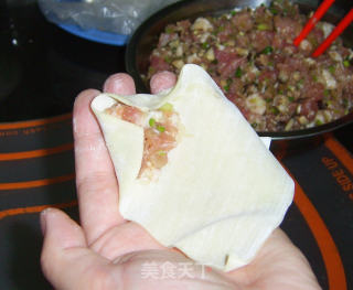 香菜肉馅大馄饨的做法步骤：5