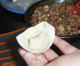 香菜肉馅大馄饨的做法步骤：8