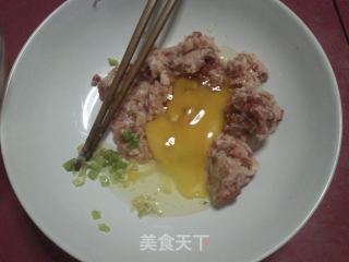 福鼎肉片DIY的做法步骤：5