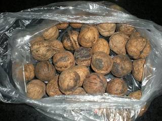 桂圆核桃饮的做法步骤：3