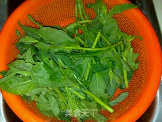 炝炒白油菜（白菜苔或者其他叫法）的做法步骤：3