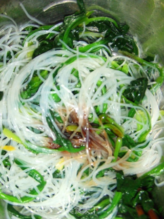 上班族的晚餐也美好---凉拌菠菜粉丝的做法步骤：4