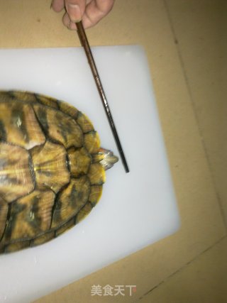乌龟炖鸡的做法步骤：14