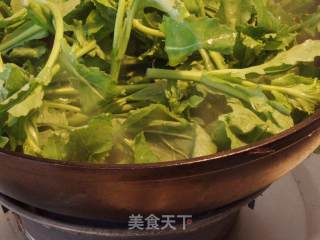 适令蔬菜    炝炒白油菜尖的做法步骤：4