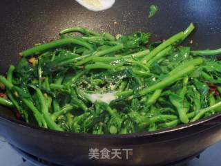 适令蔬菜    炝炒白油菜尖的做法步骤：6