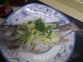清蒸鲈鱼的做法步骤：4
