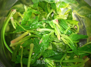 【贪嘴鹦之菠菜大变身，减肥新菜肴】松子菠菜盅的做法步骤：3