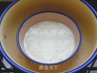 抹茶可可奶冻的做法步骤：3