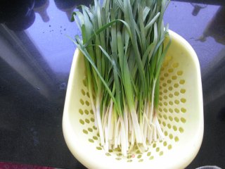 韭菜黄海米炒豆腐的做法步骤：4